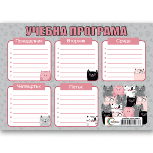 учебна програма котки